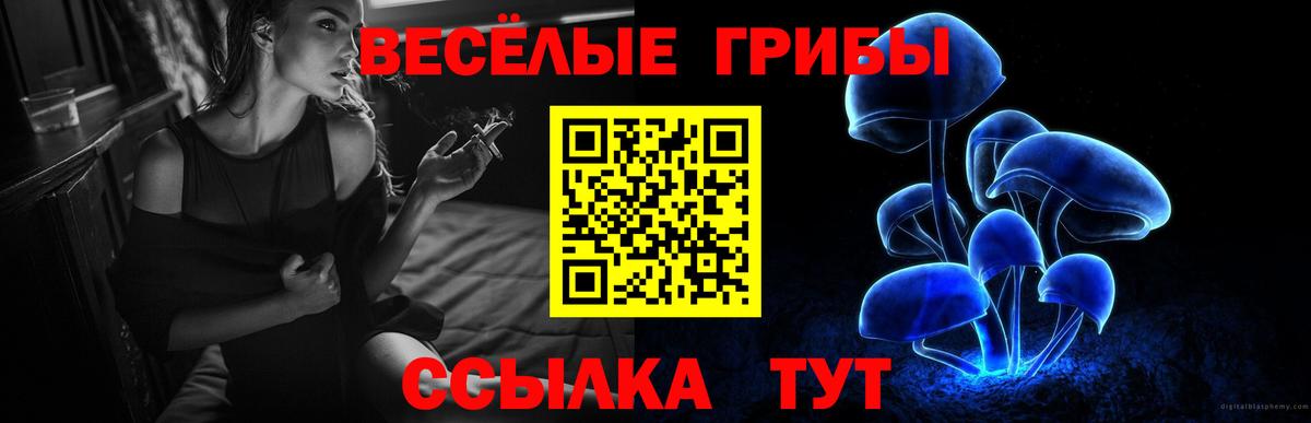 Псилоцибиновые грибы мицелий  хочу наркоту  Сарапул  Псилоцибиновые грибы мицелий  Вход с VPN 
